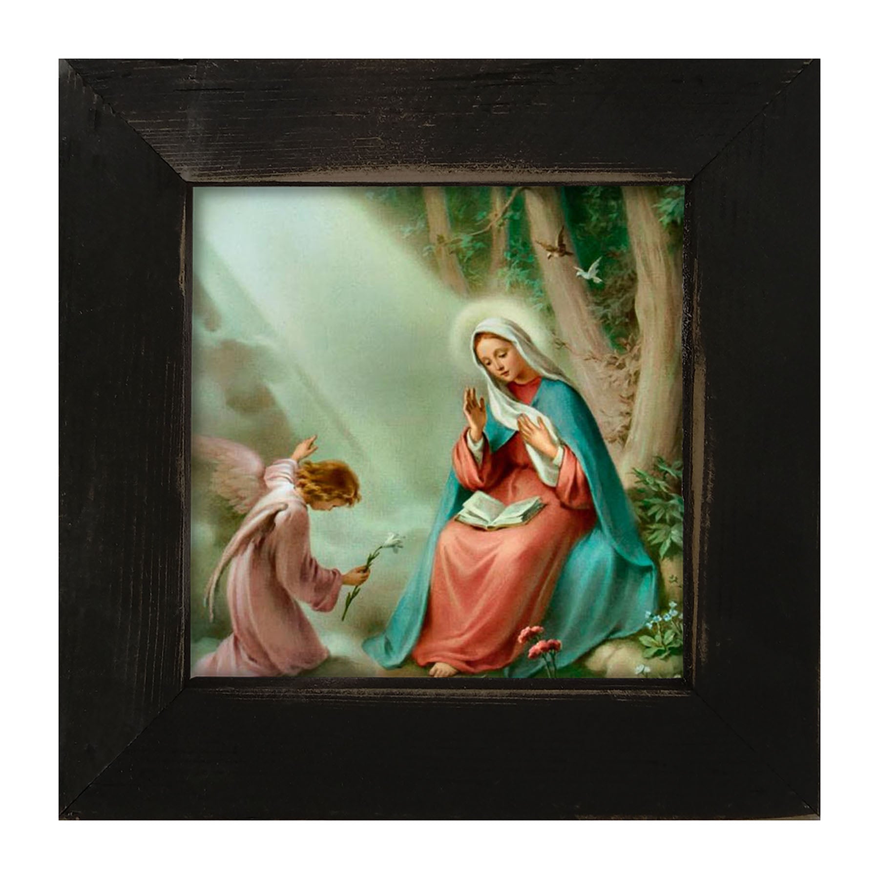 Hail Mary Full of Grace - Framed art
