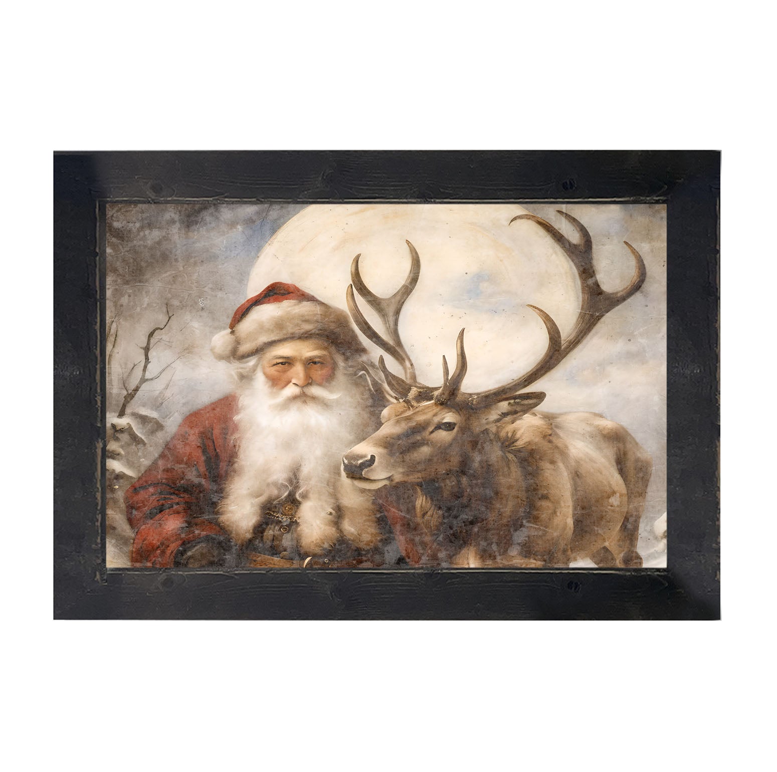 Reindeer with Santa 4