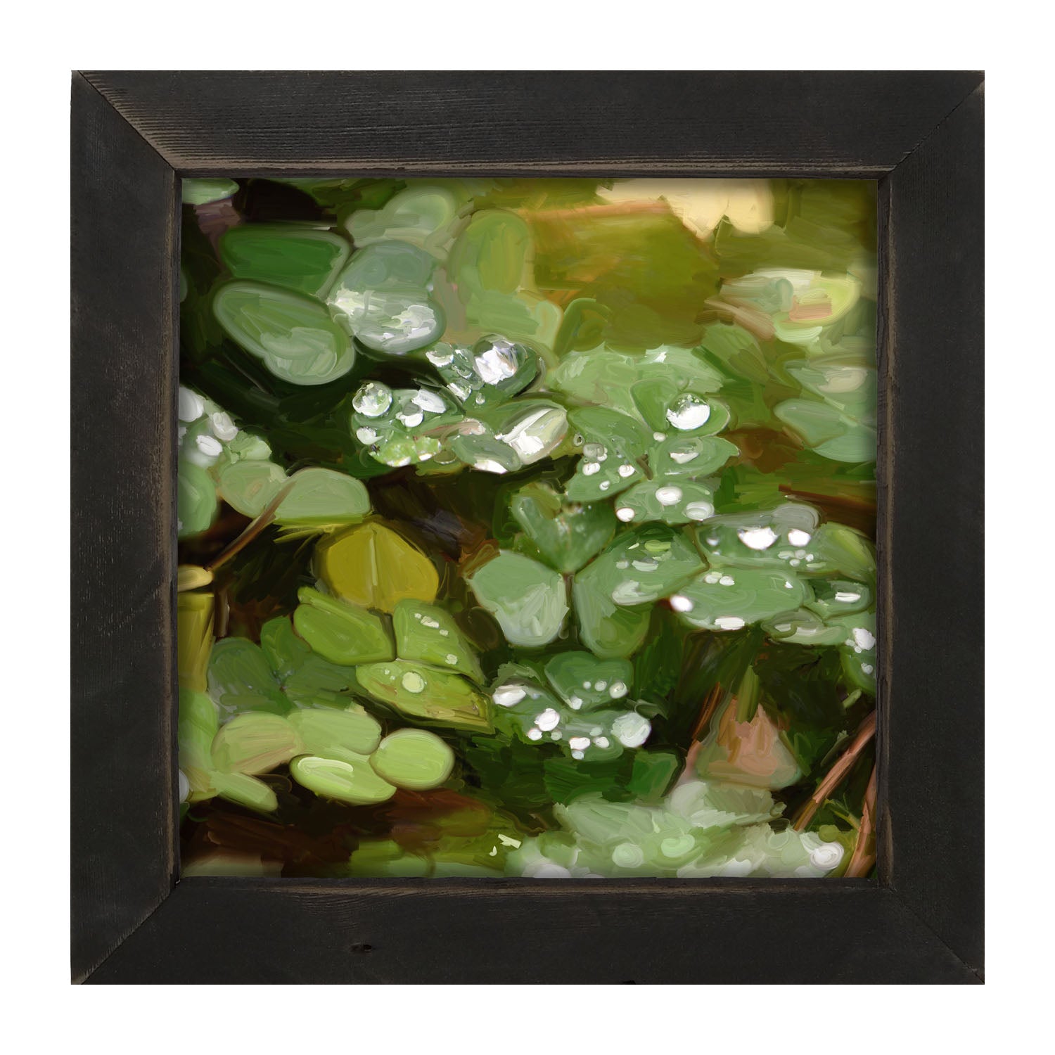 Clovers in The Spring Rain - Framed art