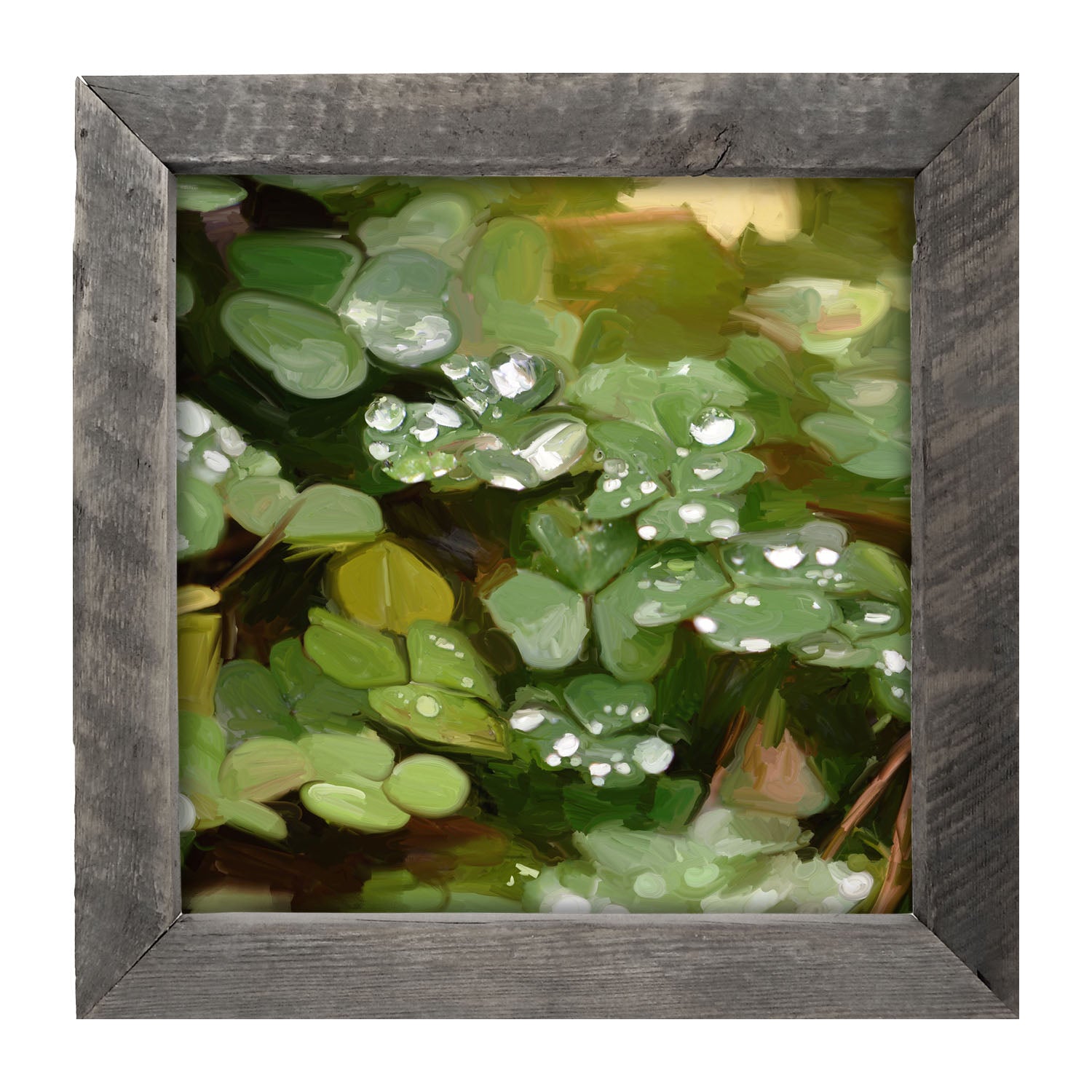 Clovers in The Spring Rain - Framed art