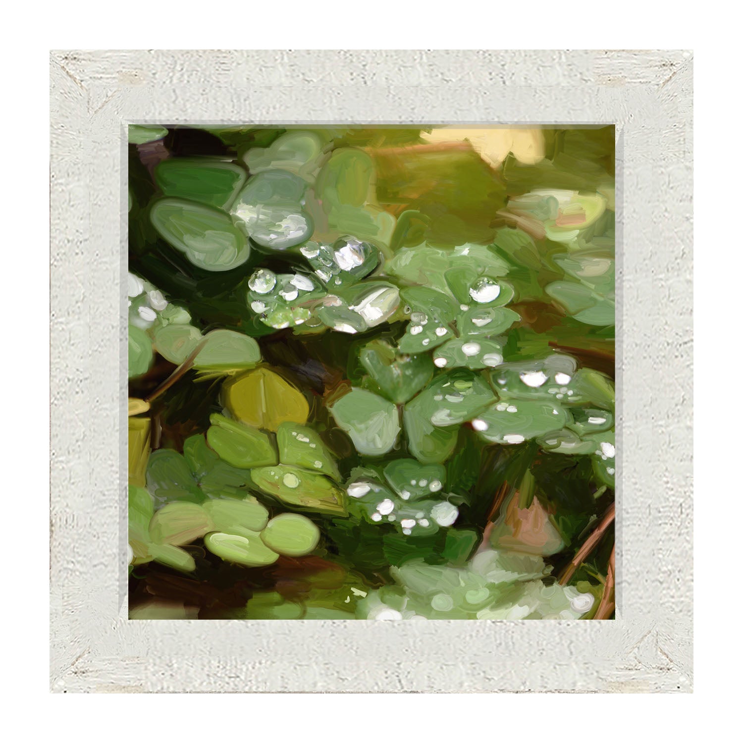 Clovers in The Spring Rain - Framed art