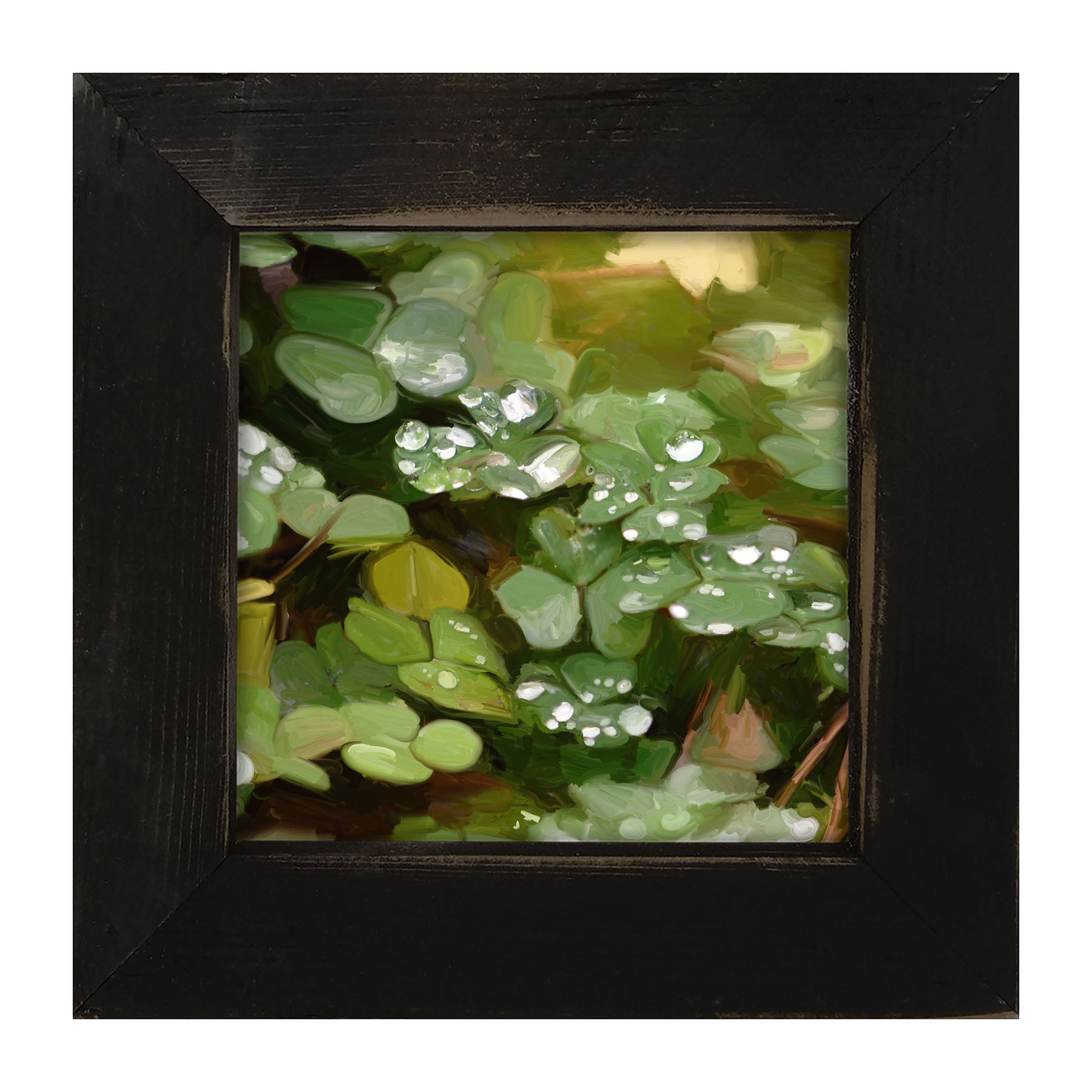 Clovers in The Spring Rain - Framed art