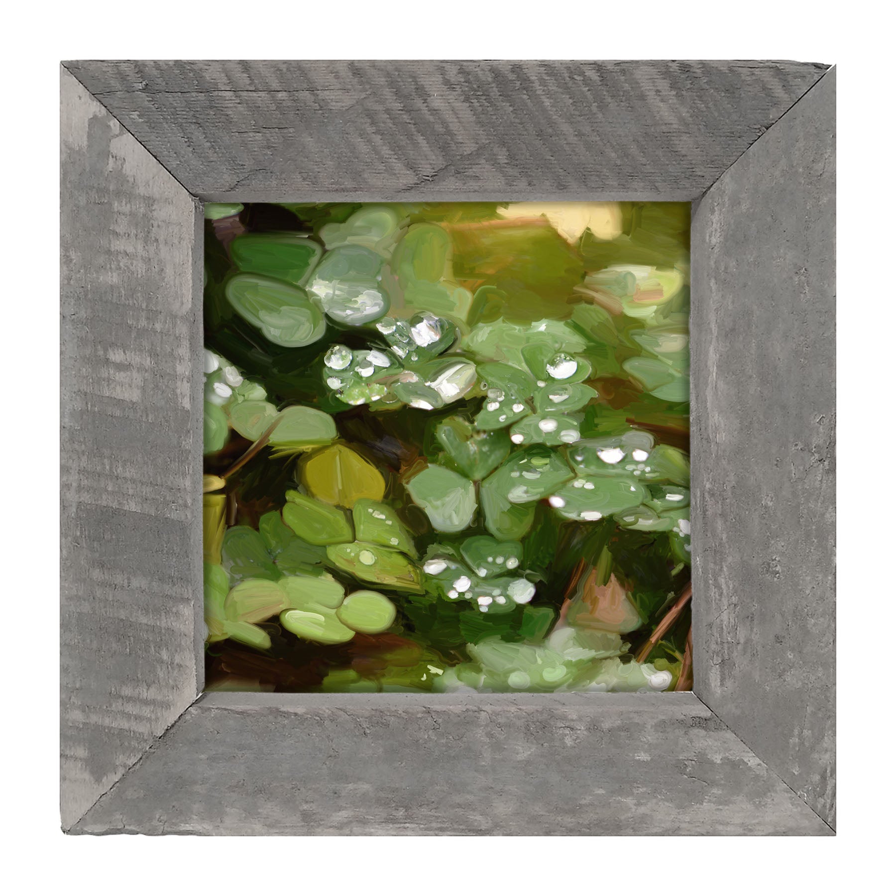 Clovers in The Spring Rain - Framed art
