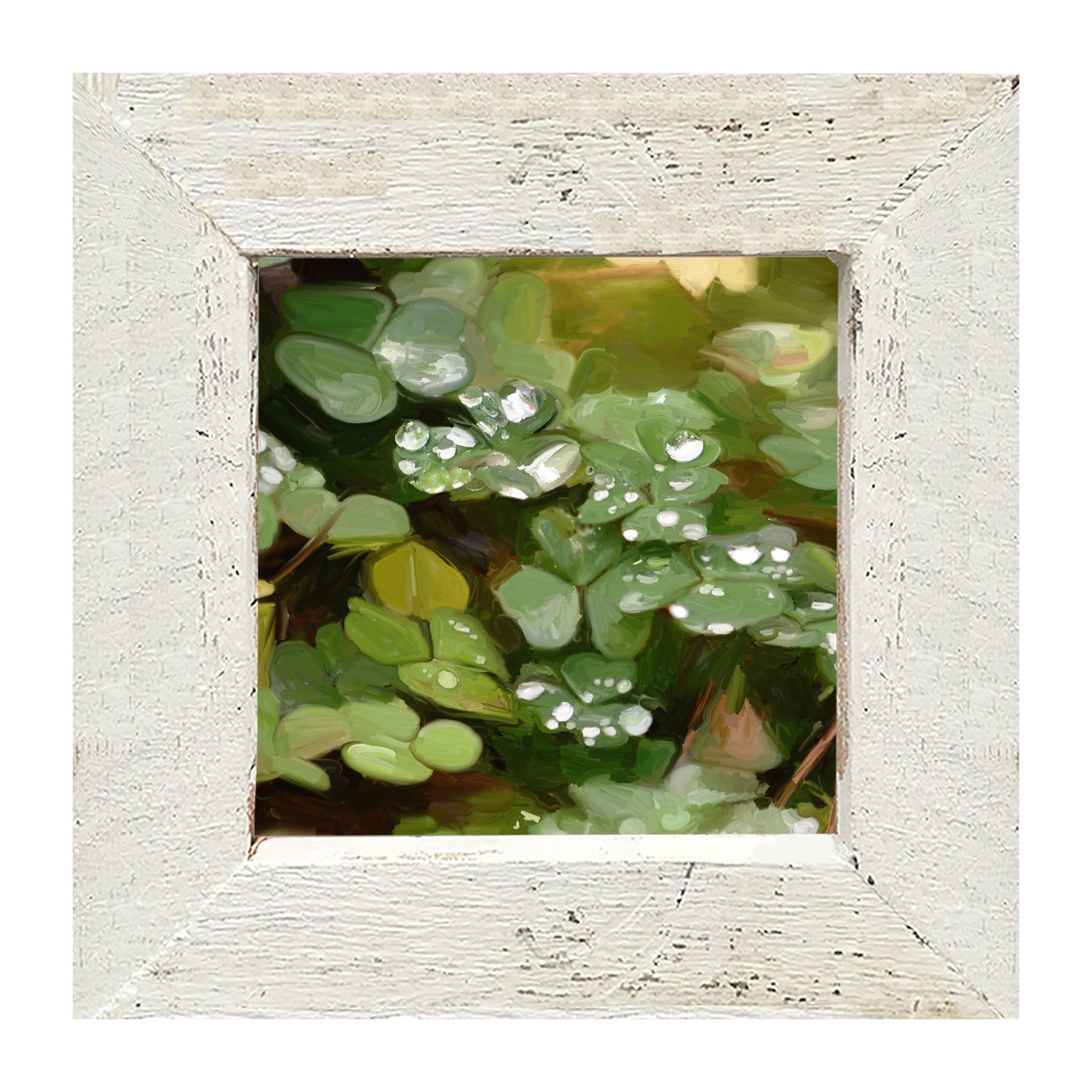 Clovers in The Spring Rain - Framed art