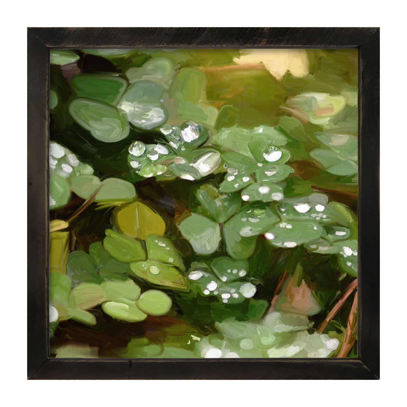 Clovers in The Spring Rain - Framed art
