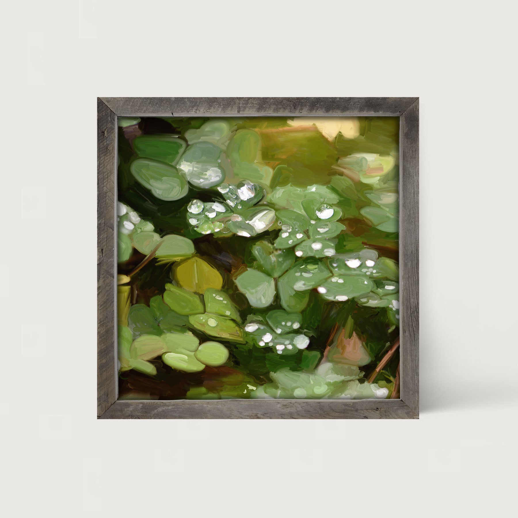 Clovers in The Spring Rain - Framed art