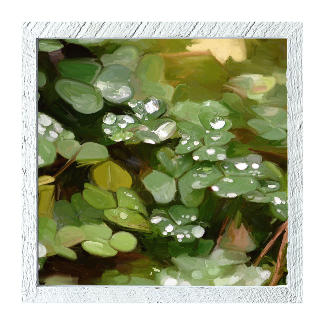 Clovers in The Spring Rain - Framed art