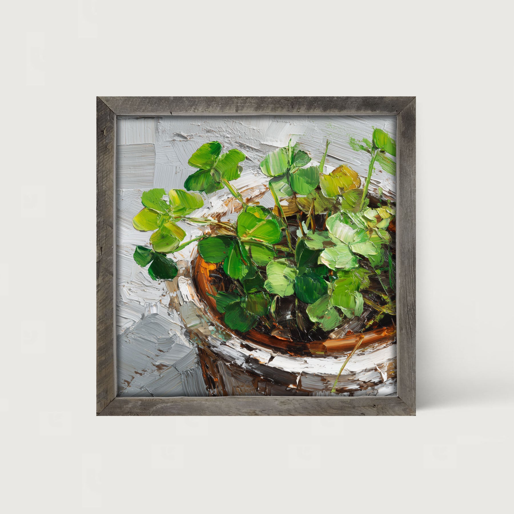 St. Patrick's - Potted Clovers