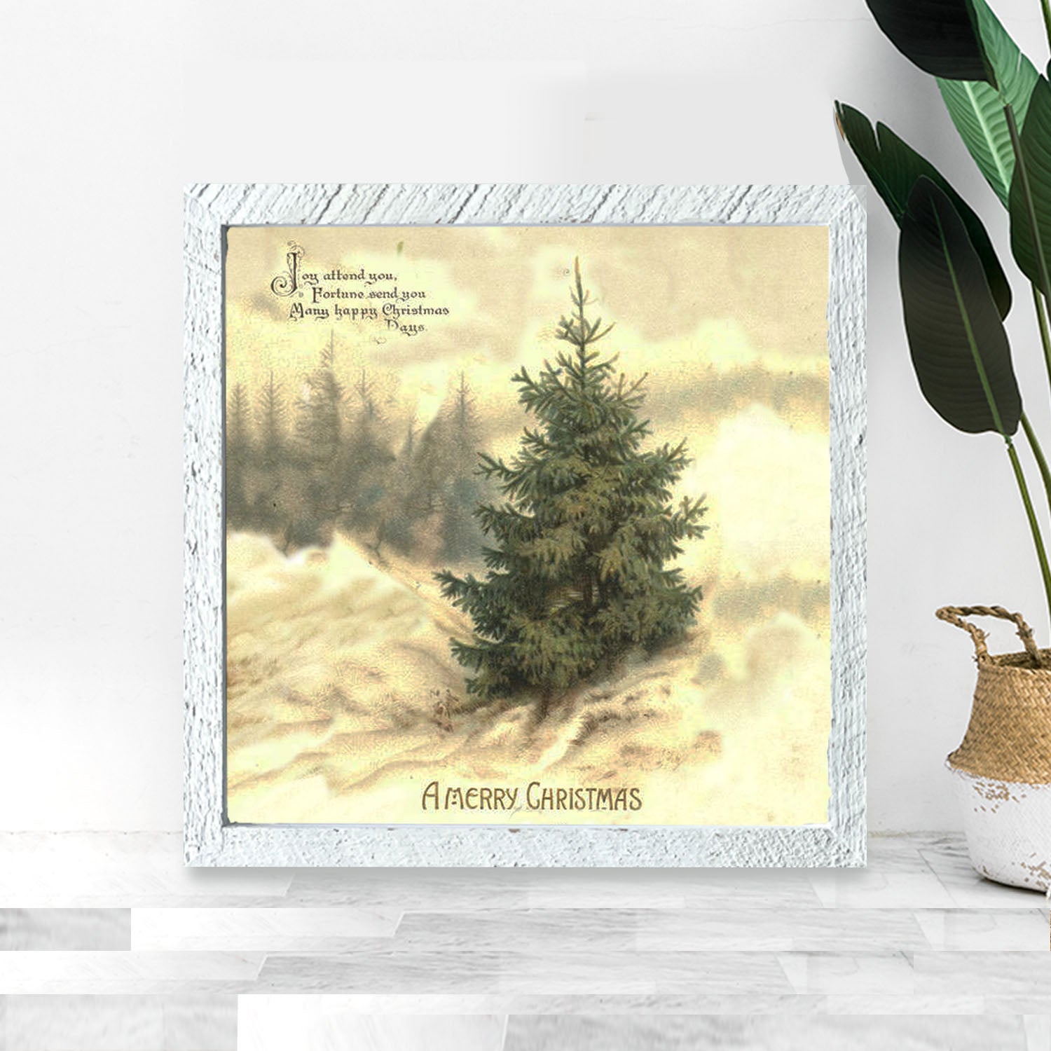 Winter Tree