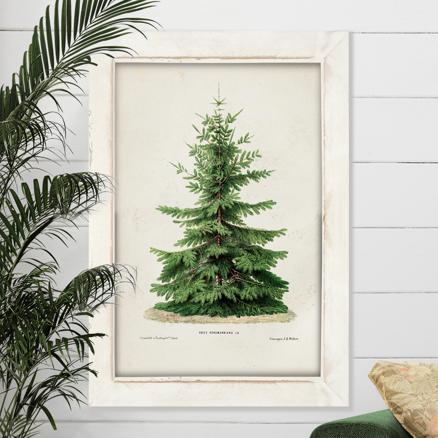 Vintage Tree