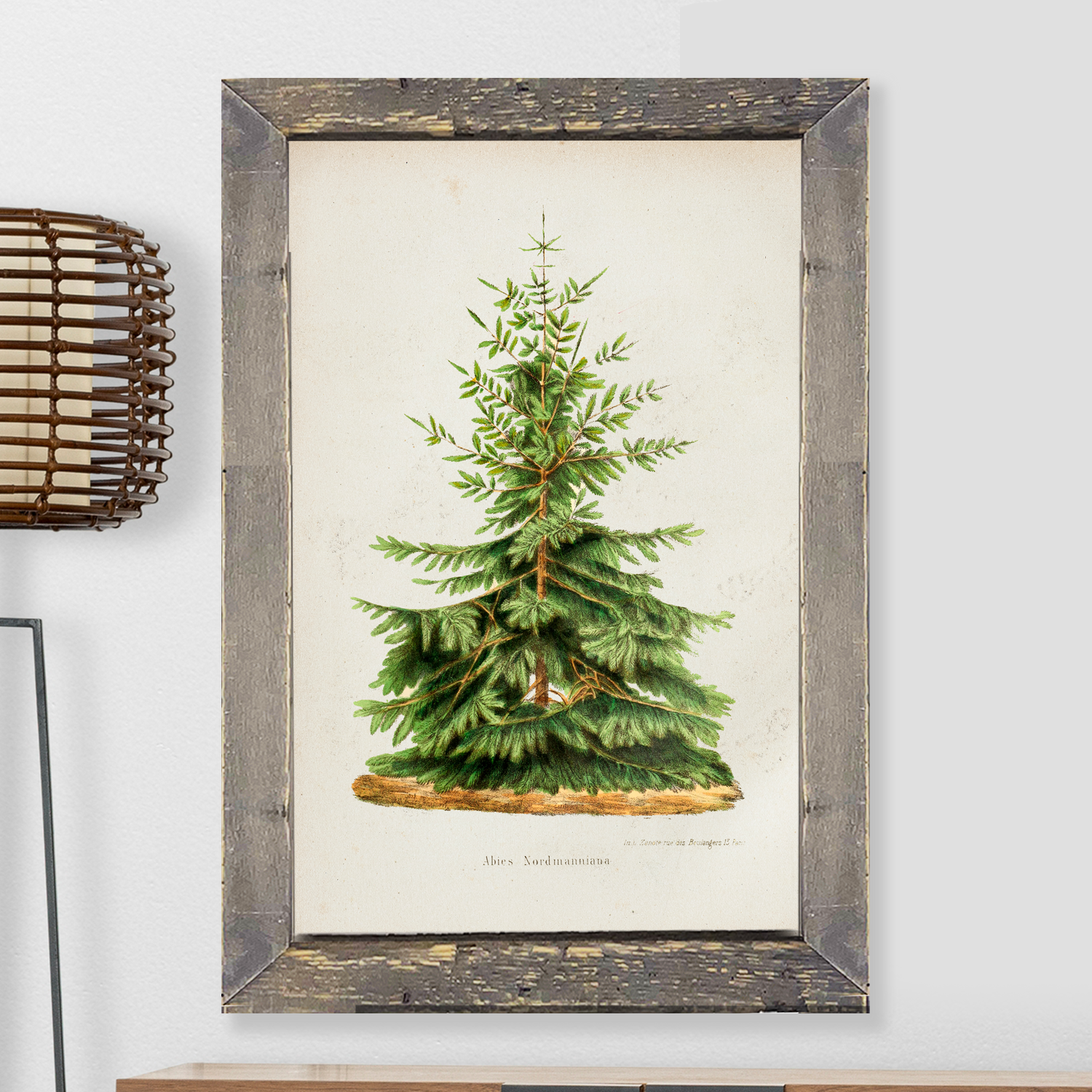 Vintage Tree (Variant 2)