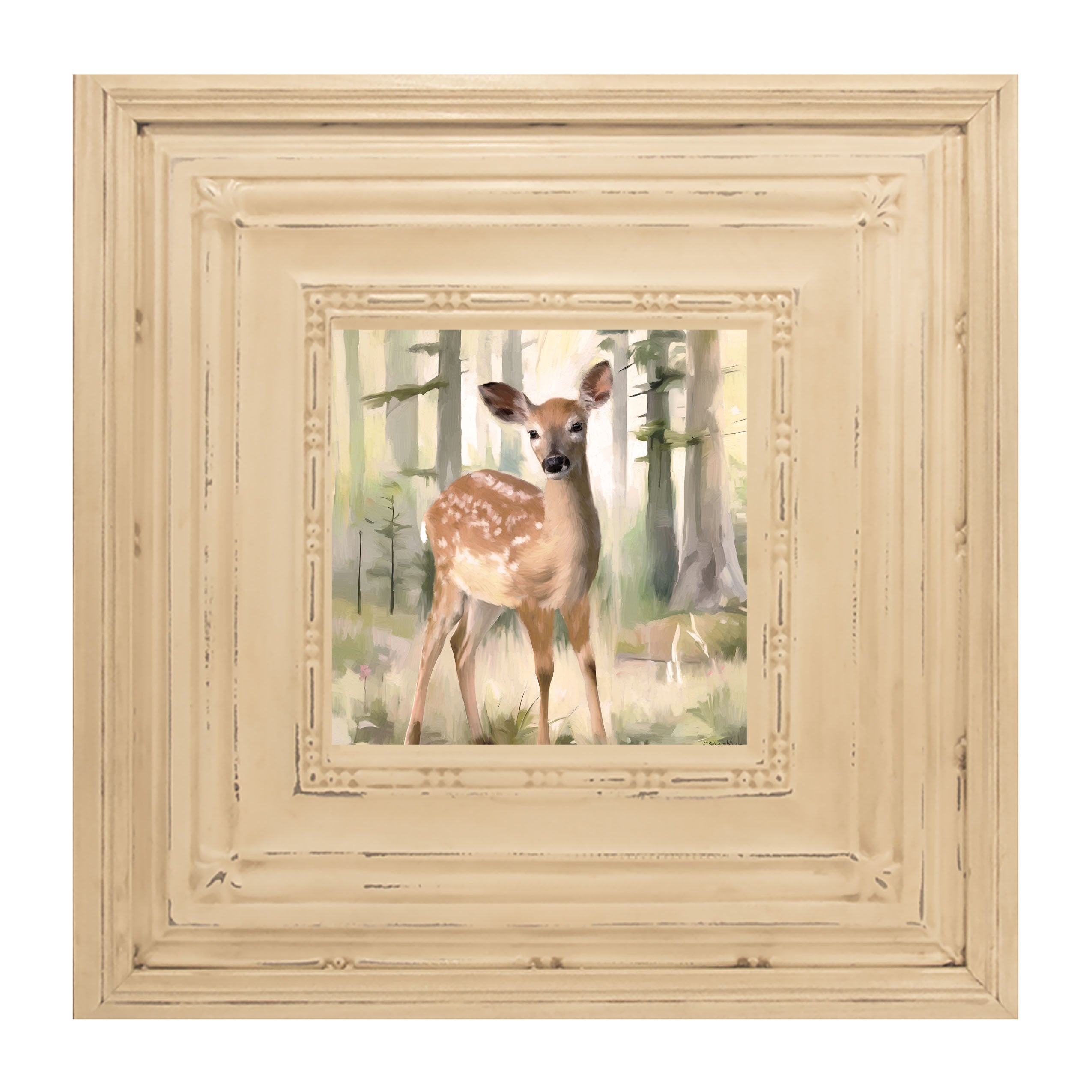Deer in a Forest