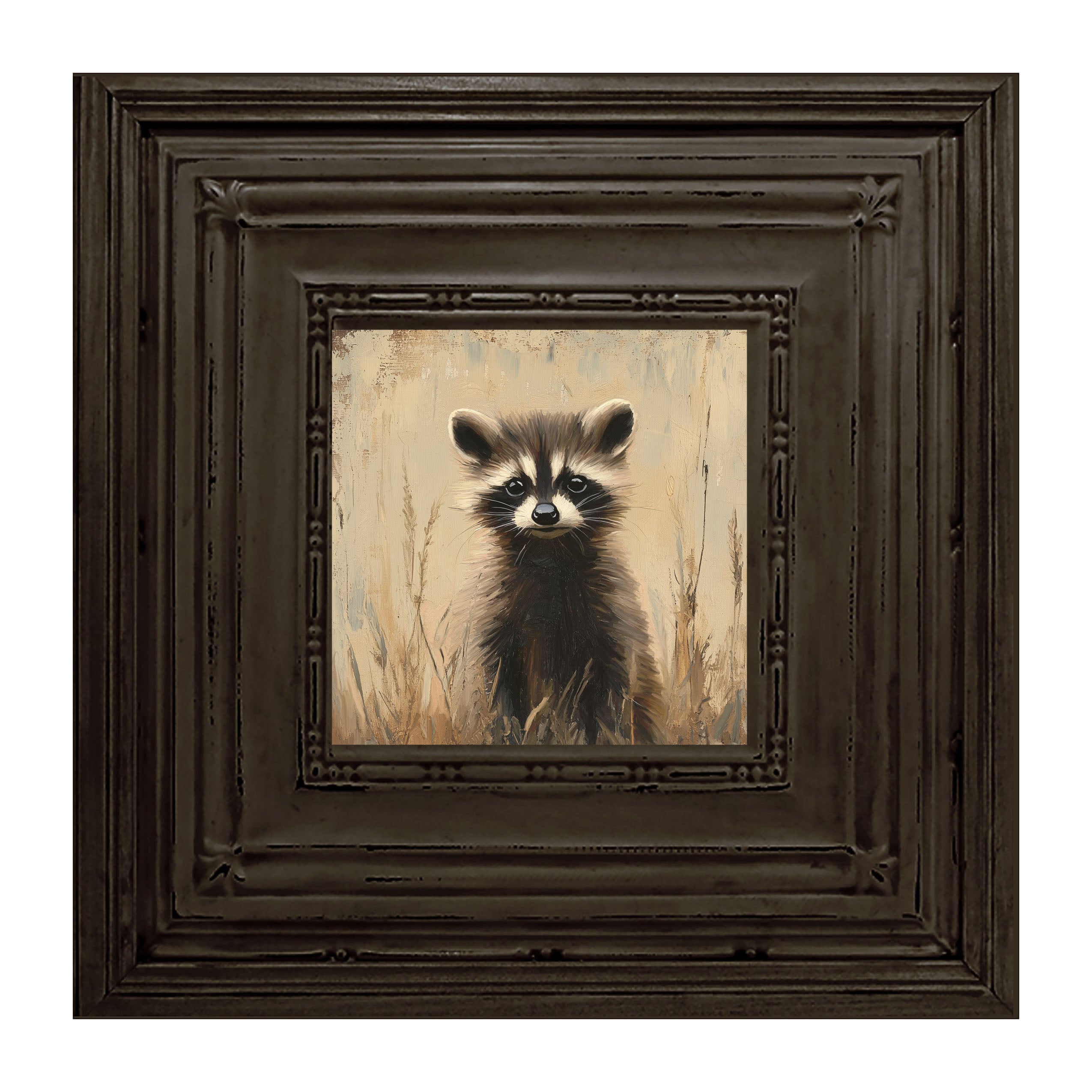 Baby Raccoon