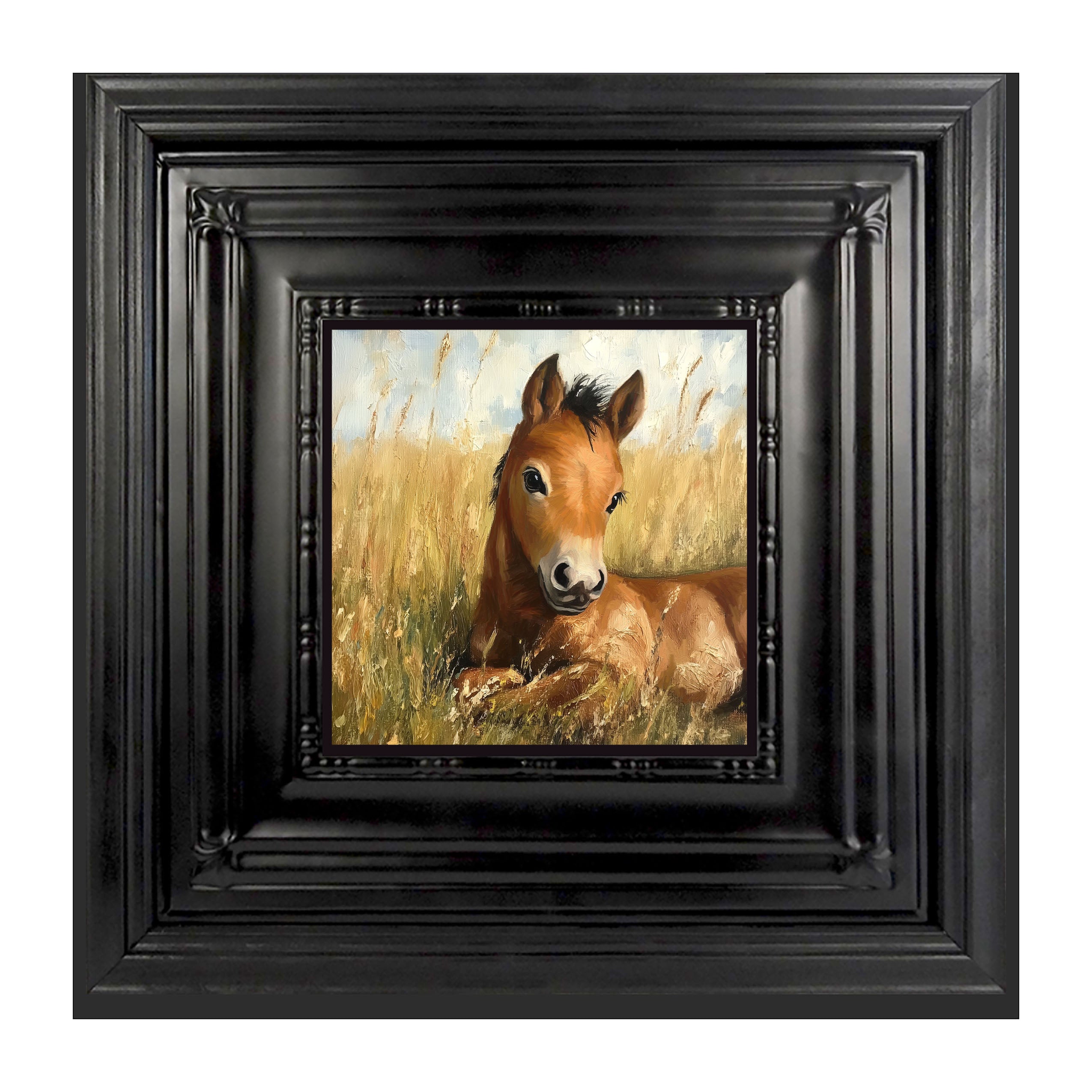 Baby Foal in a Meadow