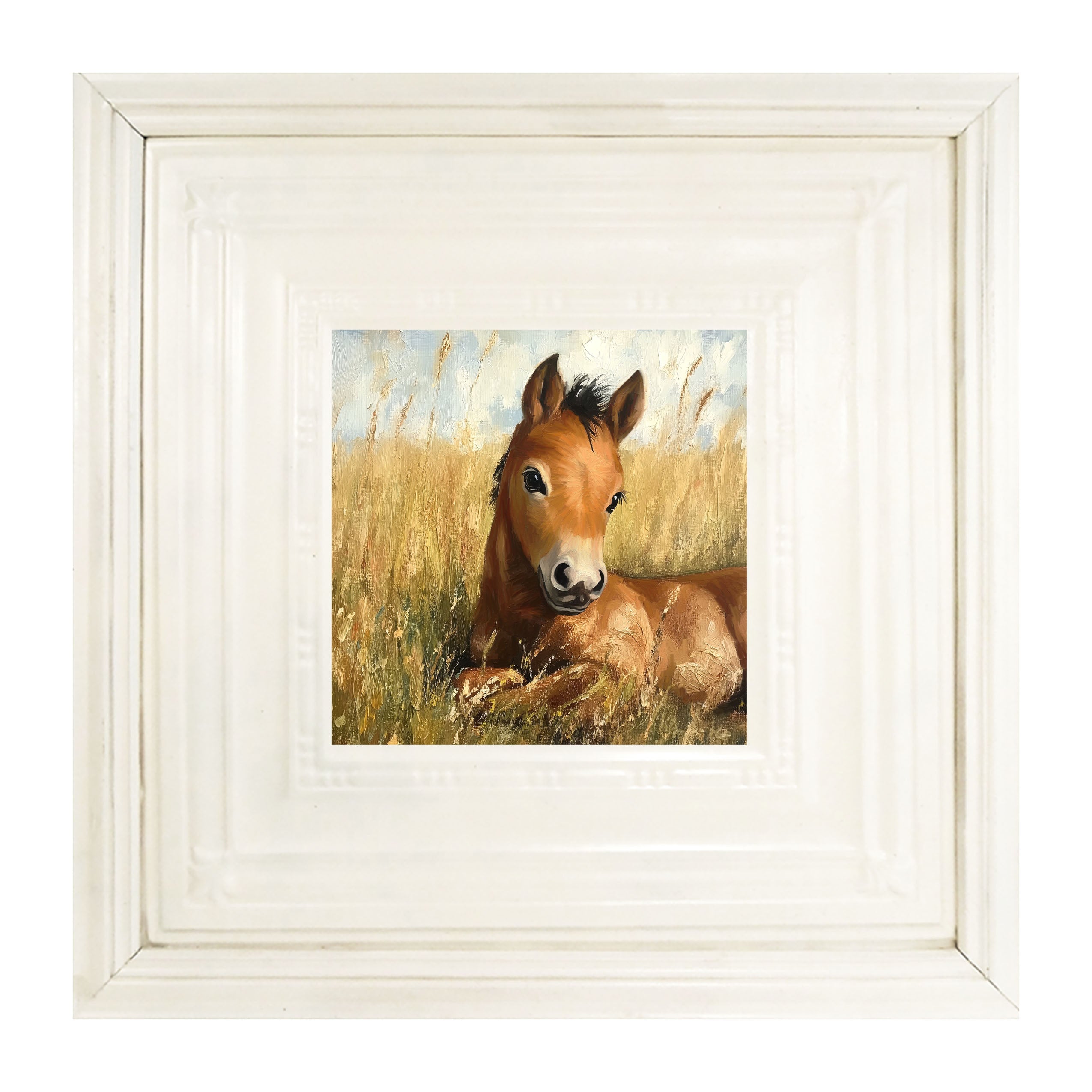 Baby Foal in a Meadow