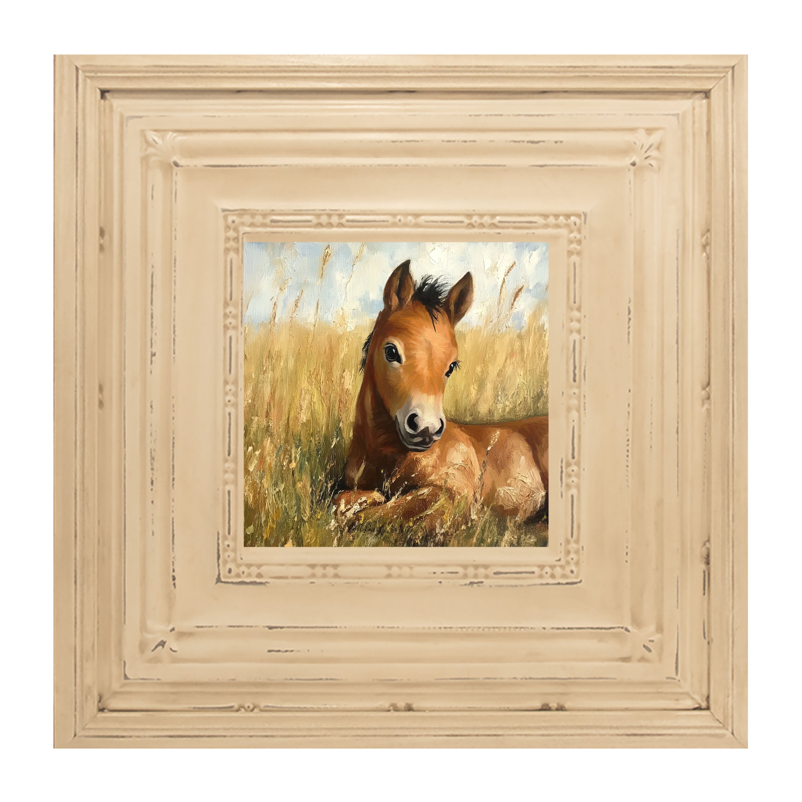 Baby Foal in a Meadow