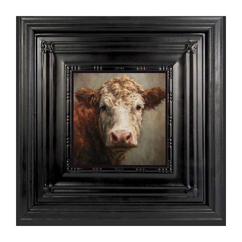 Farm Life Portrait - Brown and White Cow Close-up
