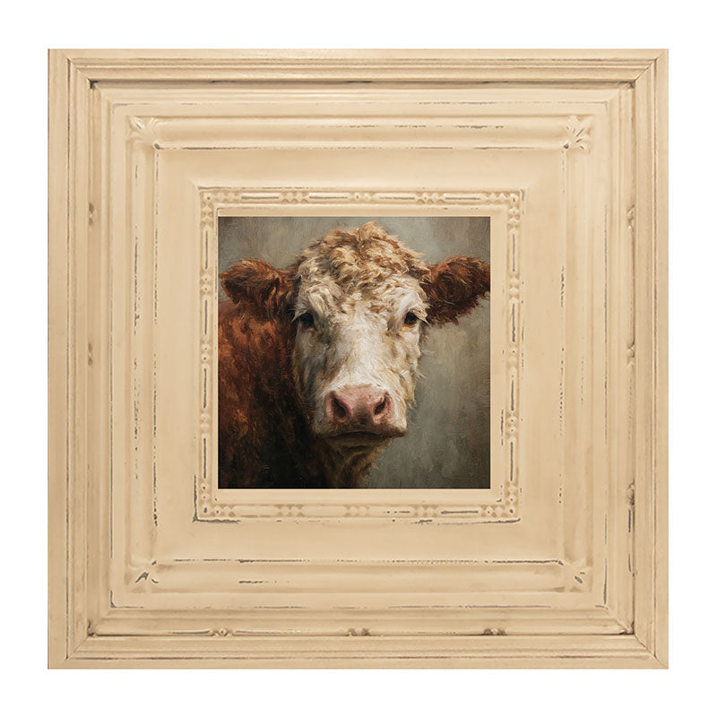 Farm Life Portrait - Brown and White Cow Close-up