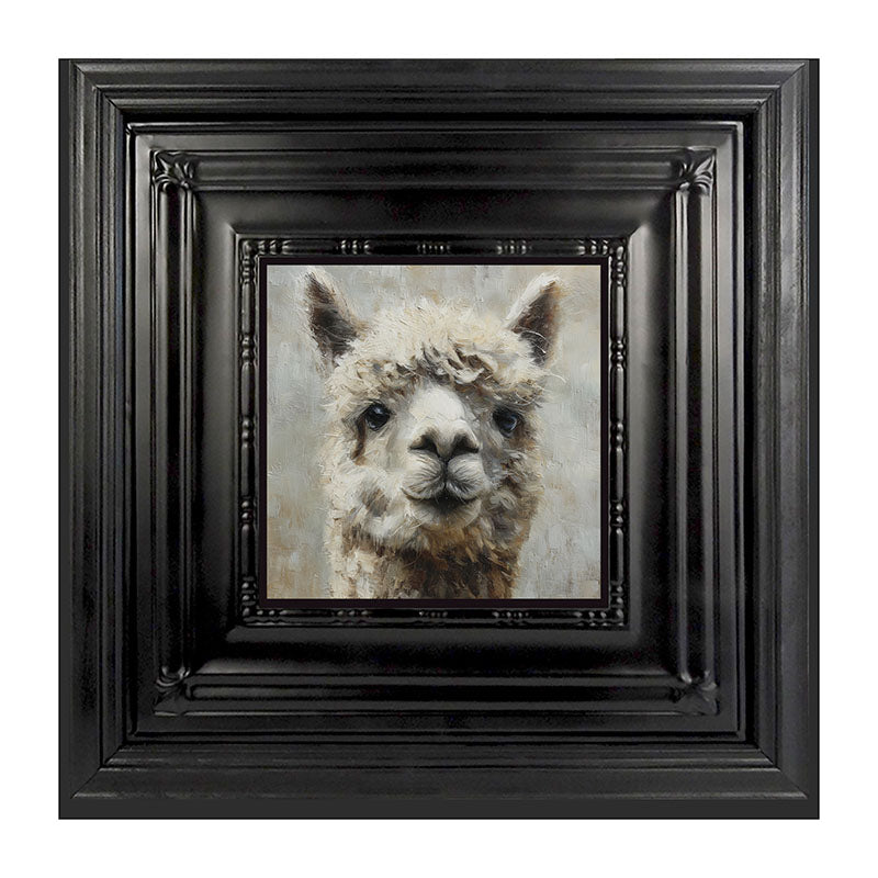 Farm Life Portrait - Alpaca Close-up