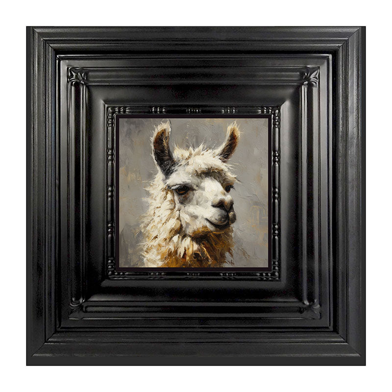 Farm Life Portrait - Llama Close-up