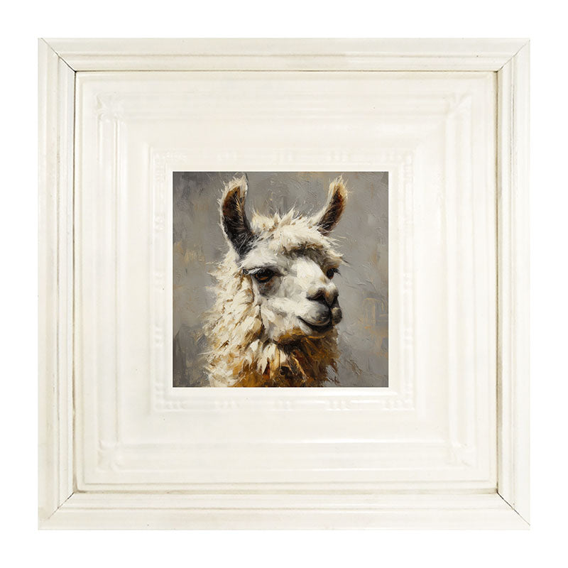 Farm Life Portrait - Llama Close-up