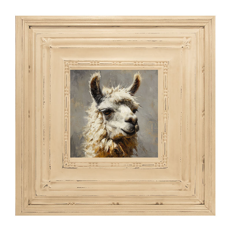 Farm Life Portrait - Llama Close-up
