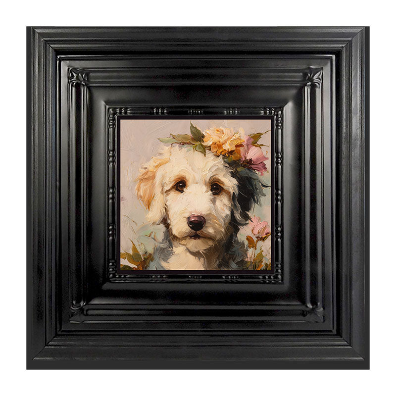 Spring Season White Labradoodle