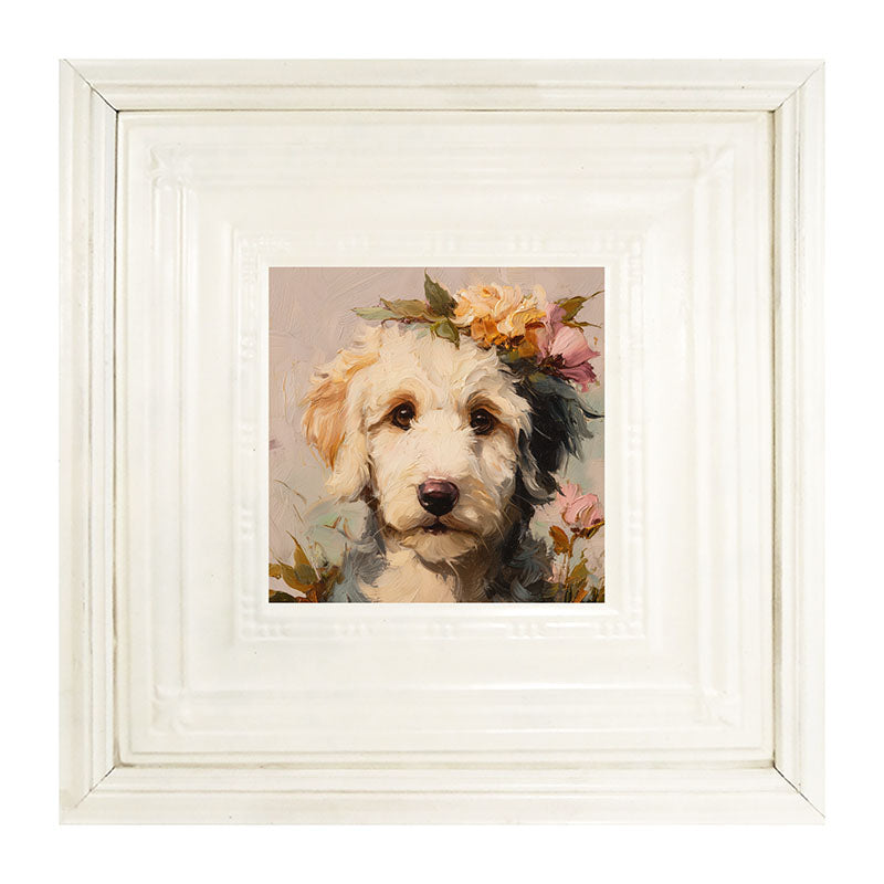 Spring Season White Labradoodle