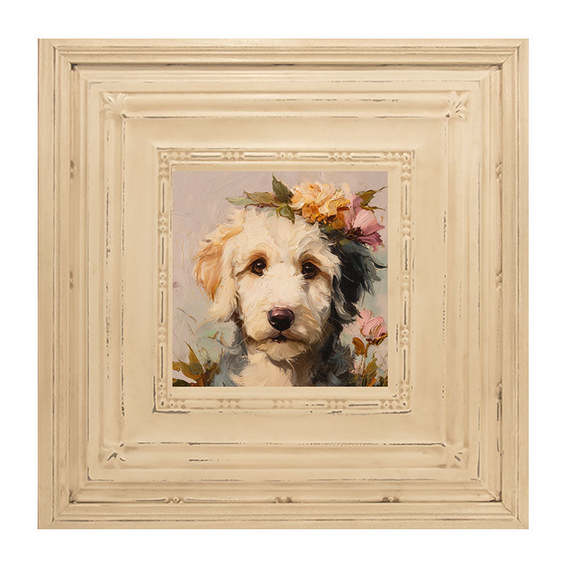 Spring Season White Labradoodle