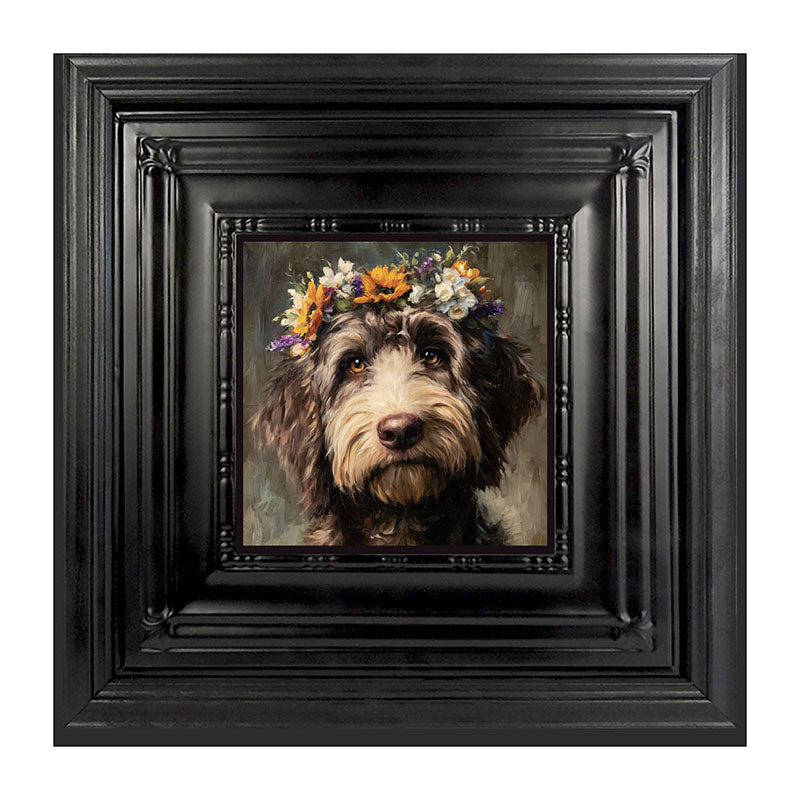 Spring Season Black Labradoodle