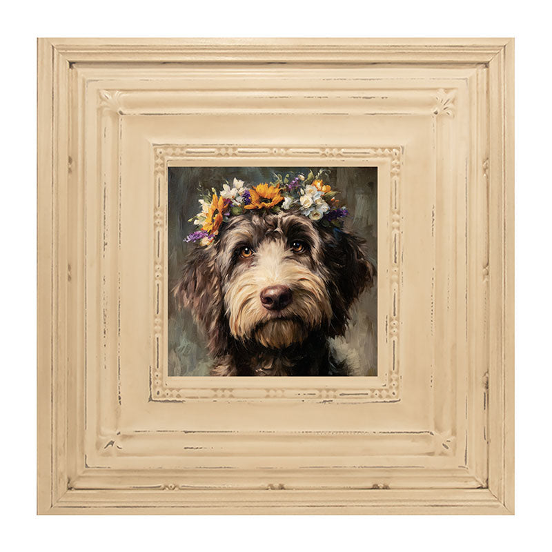 Spring Season Black Labradoodle