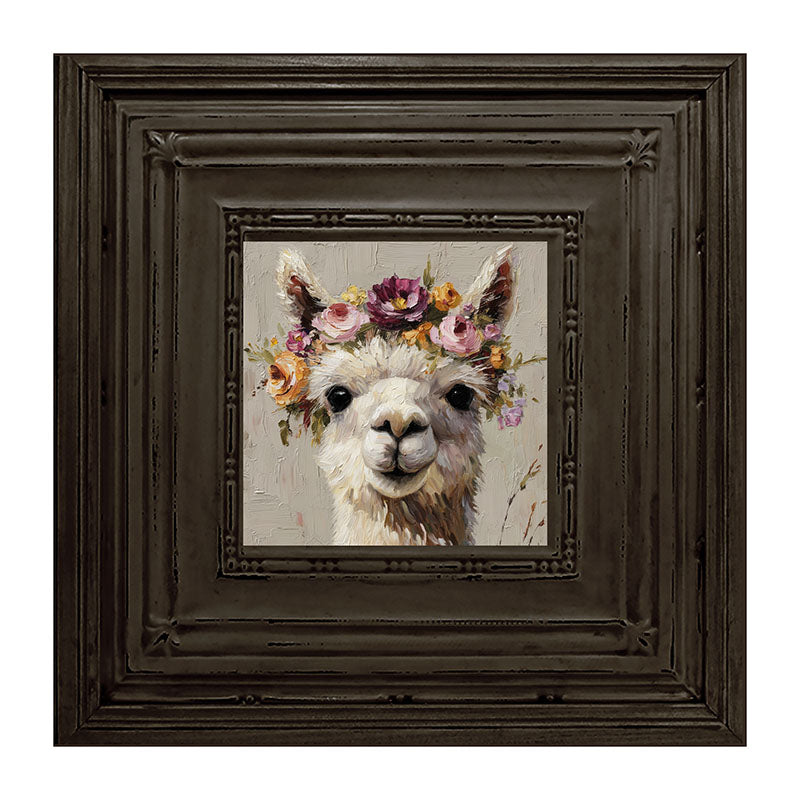 Spring Season Alpaca