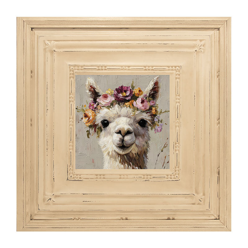 Spring Season Alpaca