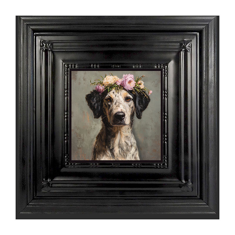 Spring Season Black-Eared Dog