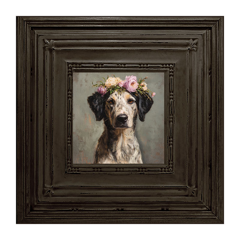 Spring Season Black-Eared Dog