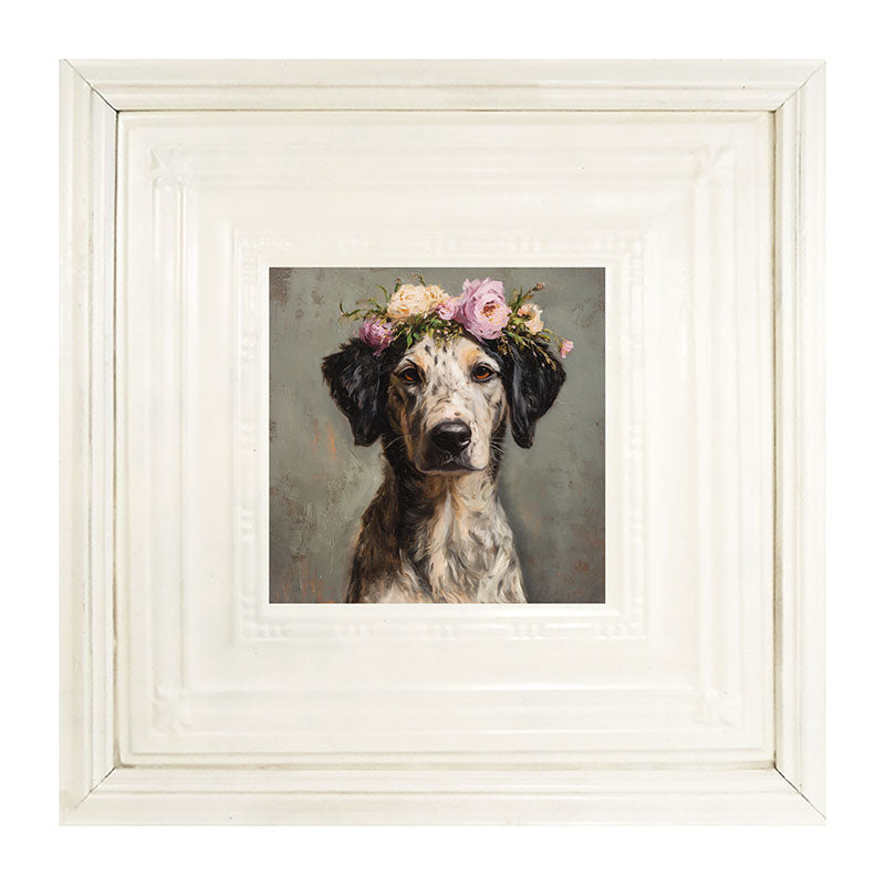 Spring Season Black-Eared Dog