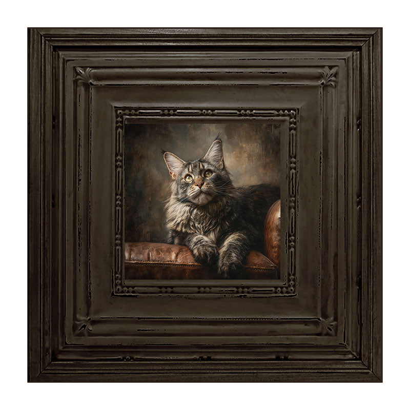 Armchair with Maine Coon Cat