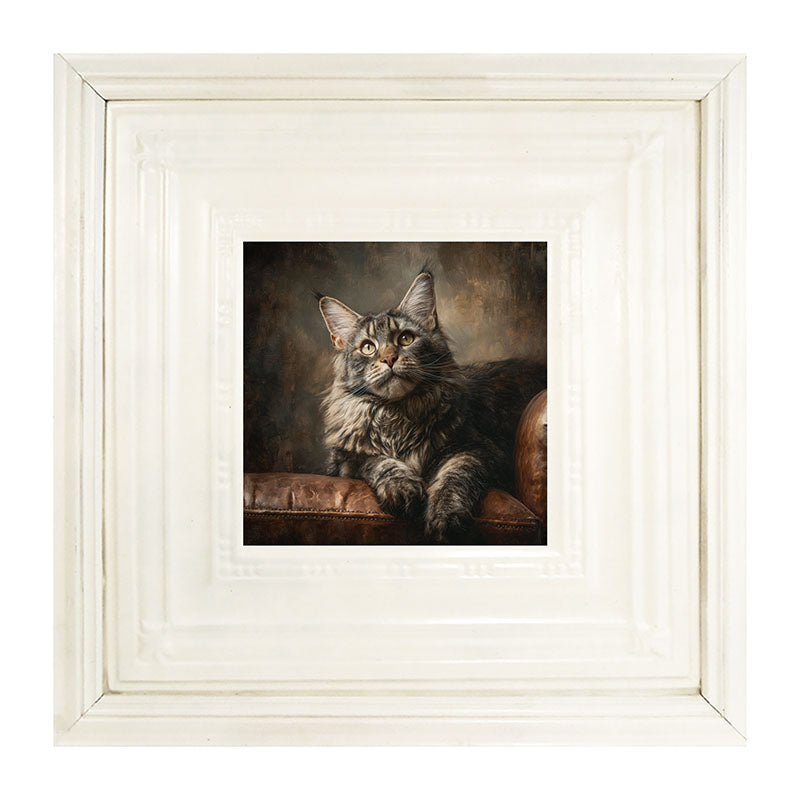 Armchair with Maine Coon Cat