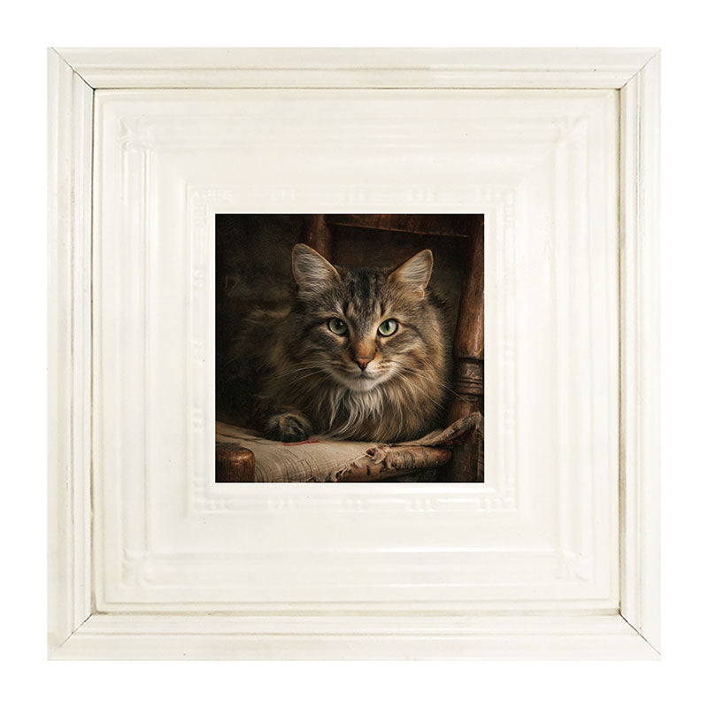 Armchair with Norwegian Forest Cat