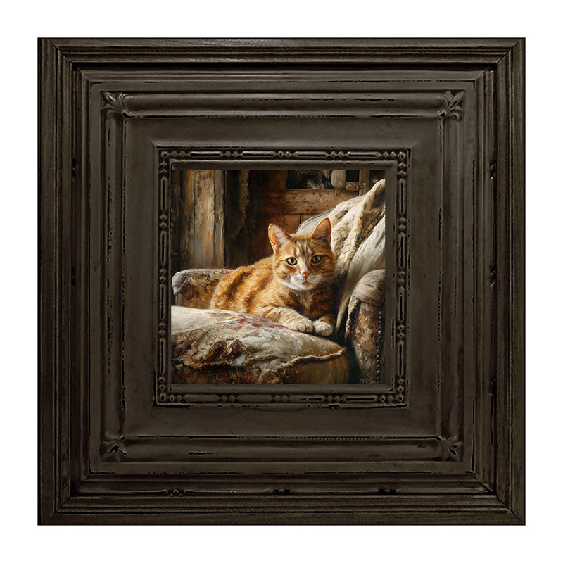 Armchair with Orange Tabby Cat
