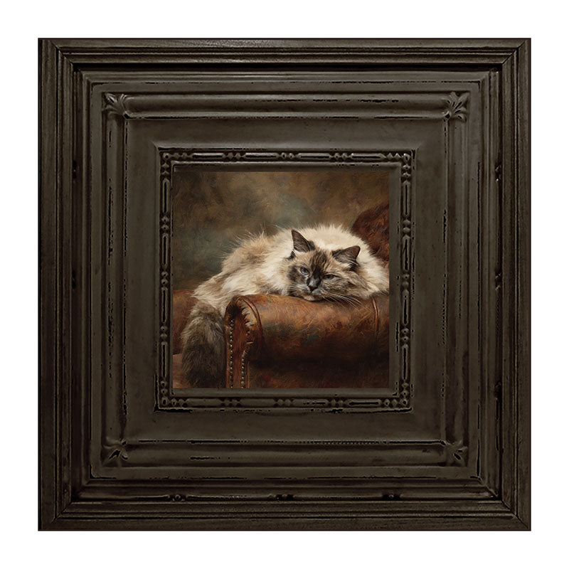 Armchair with Ragdoll Cat
