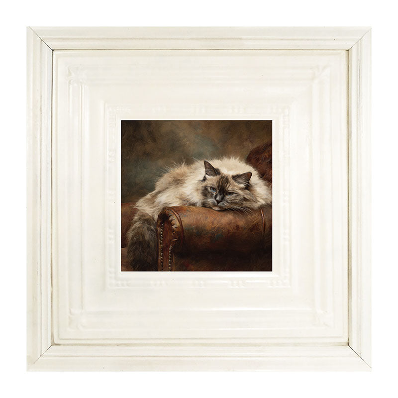 Armchair with Ragdoll Cat