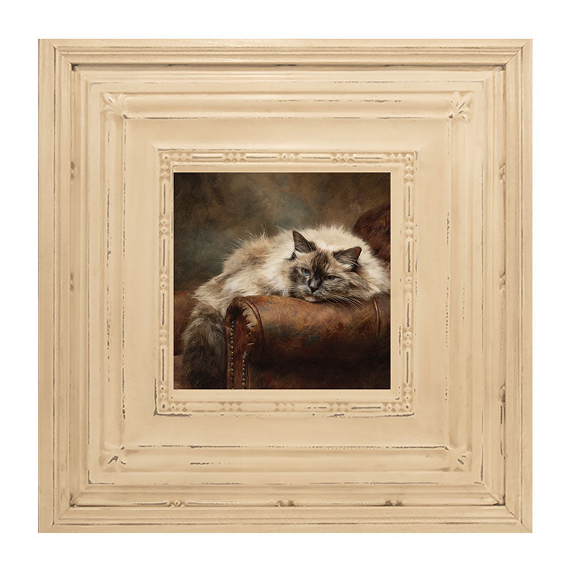 Armchair with Ragdoll Cat