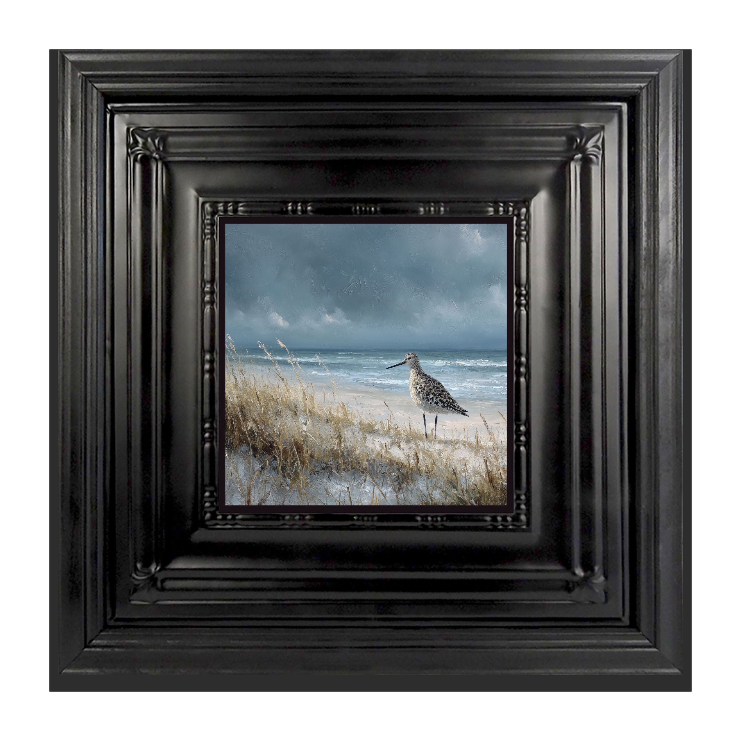 Ocean Island - Bird on Beach