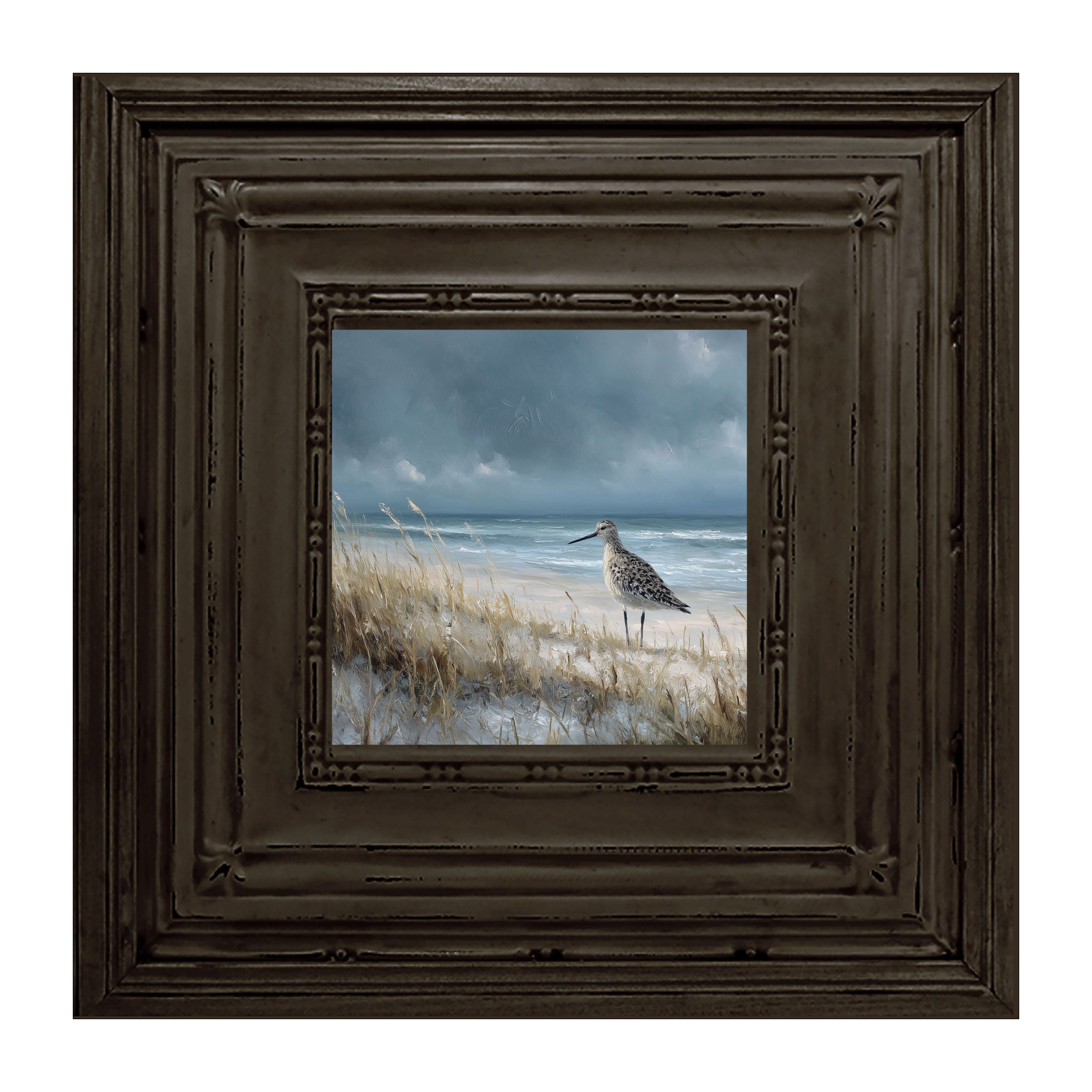 Ocean Island - Bird on Beach