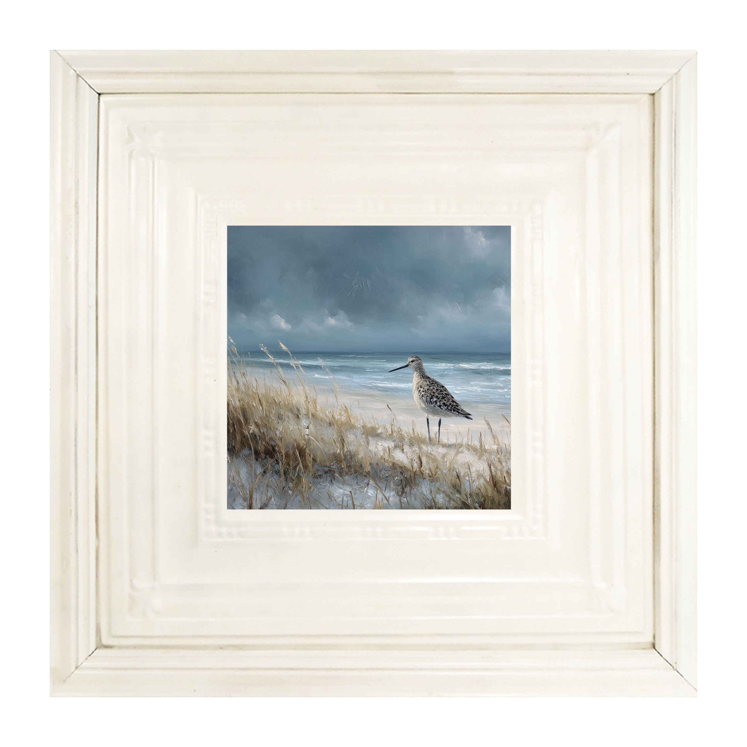 Ocean Island - Bird on Beach