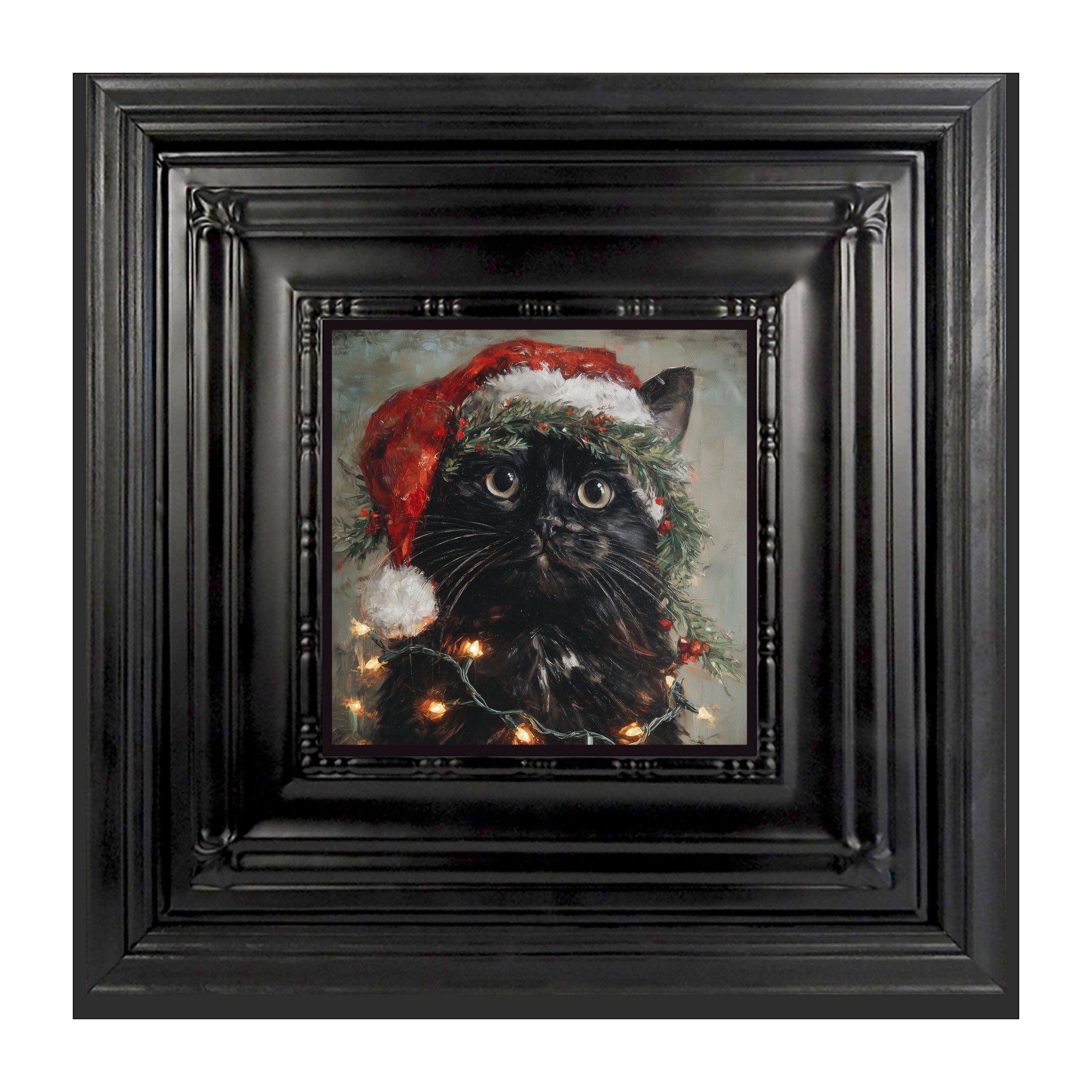 Christmas Lights with Black Cat