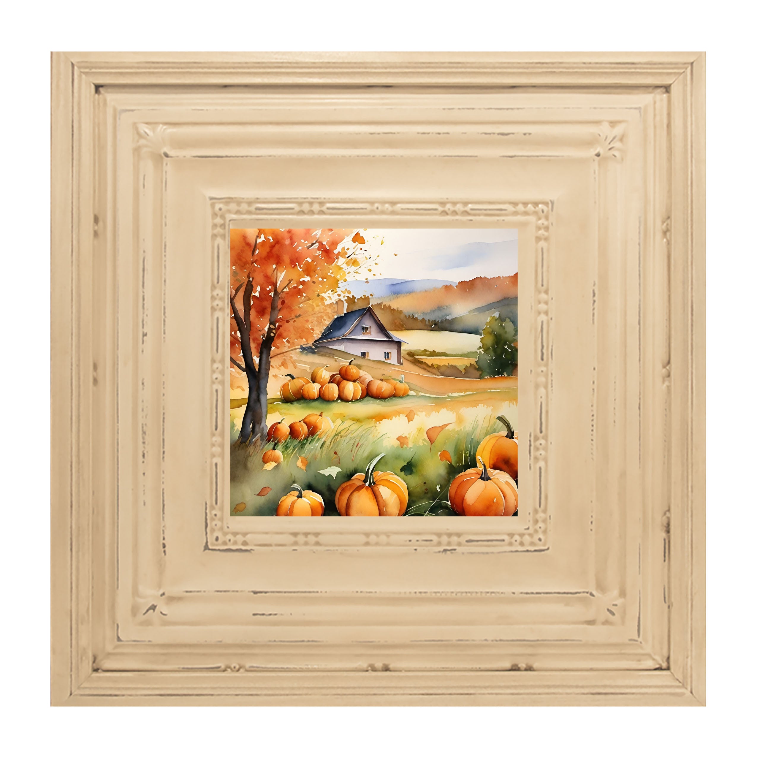 Pumpkin field