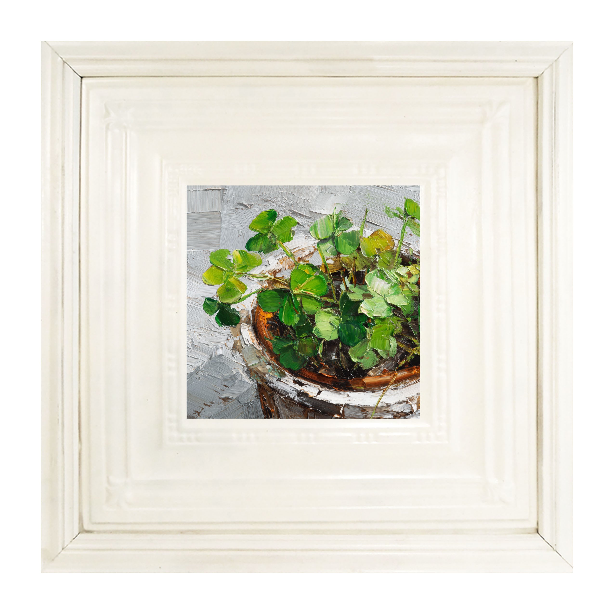 St. Patrick's - Potted Clovers
