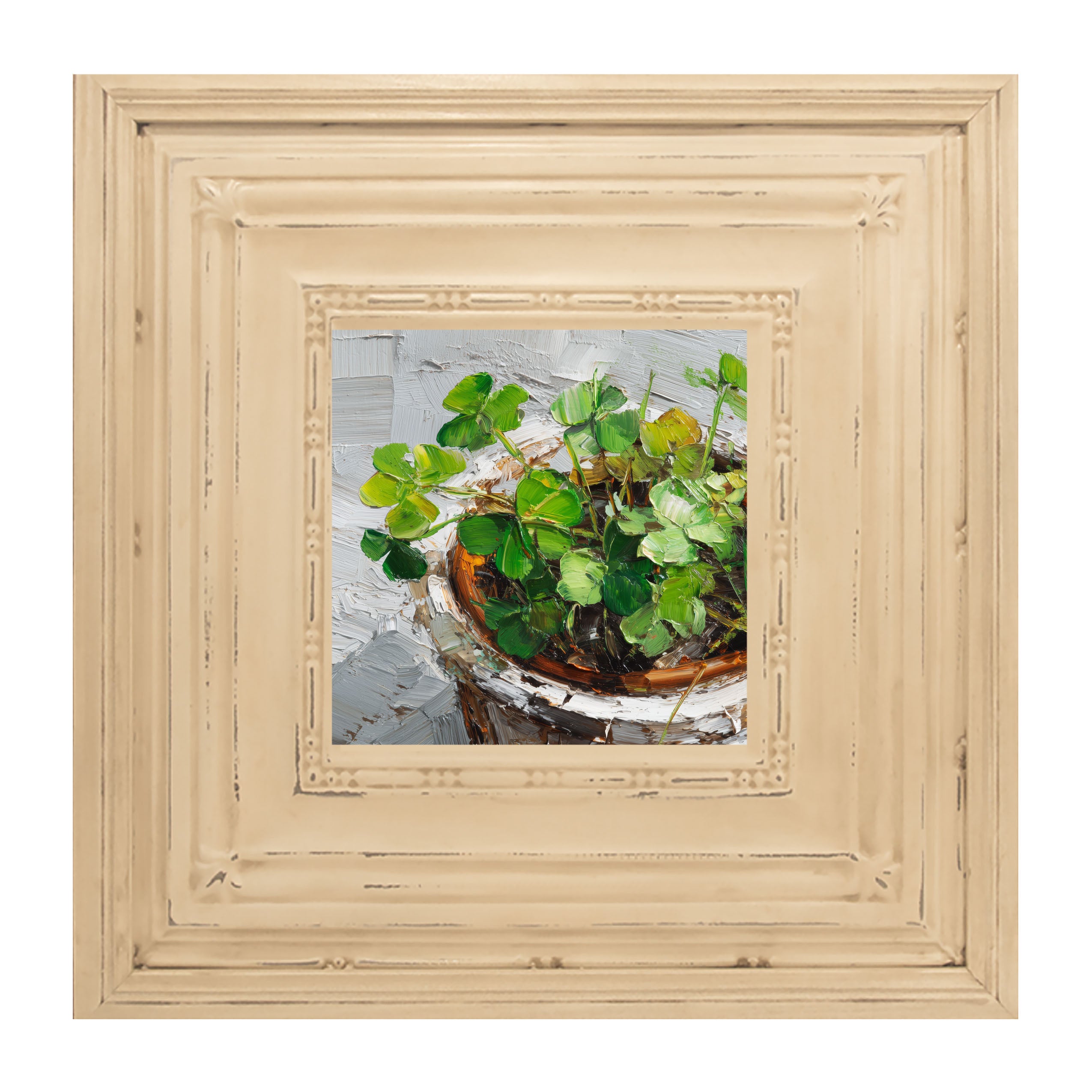 St. Patrick's - Potted Clovers